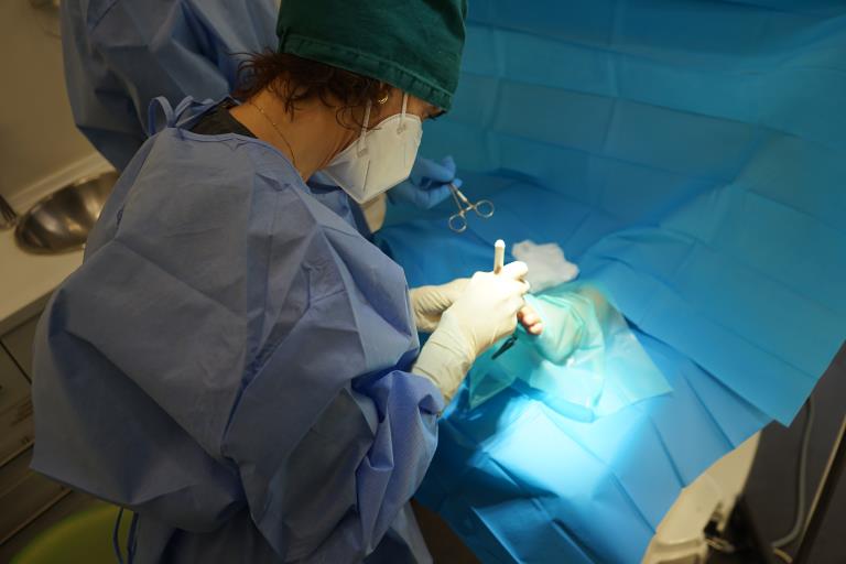 Podología dermatológica